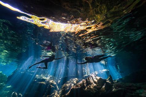 The Captivating Beauty of an Enchanting Underwater Reverie