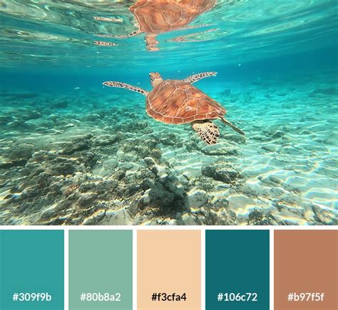 The Captivating Palette of the Sea