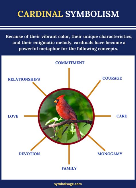 The Cardinal as a Symbol of Love, Passion, and Vitality