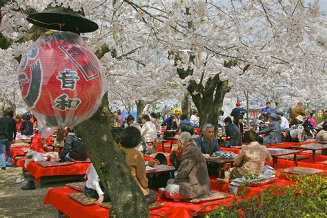 The Cherry Festival: A Cultural Celebration of this Exquisite Fruit