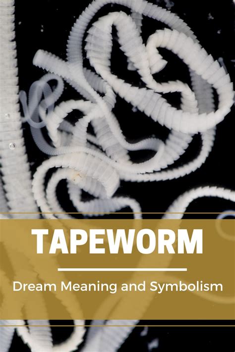 The Concealed Symbolism of Dreaming about Ridding Yourself of Tapeworms