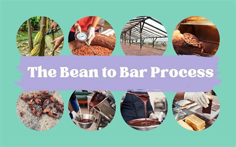 The Craft of Chocolate Making: From Bean to Bar