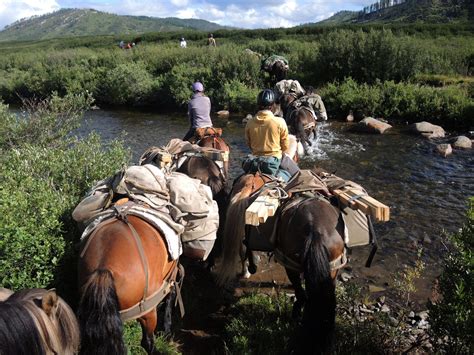 The Creative Potential: Harnessing the Untapped Energy of Visualizing Horseback Travel