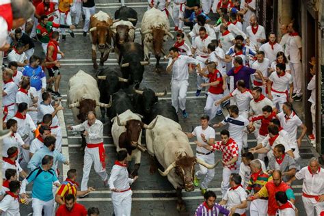 The Cultural Importance of Bulls in the History of Spain