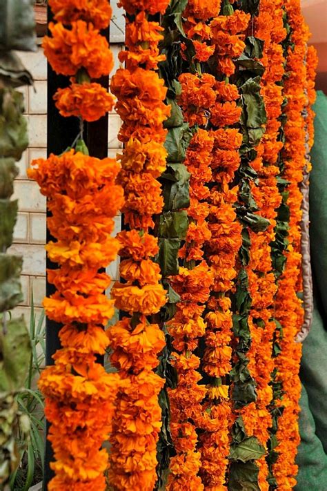 The Cultural Importance of Floral Garlands in Various Cultures