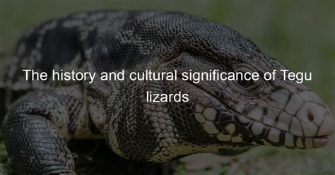 The Cultural Significance of Lizards