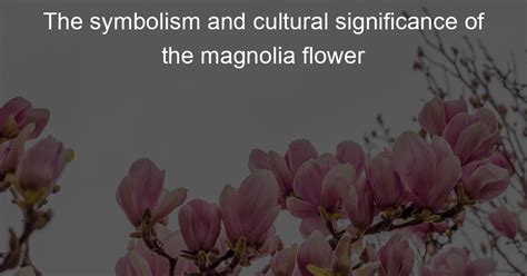 The Cultural Significance of the Magnolia Blossom