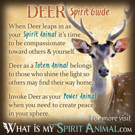 The Deer as a Symbol of Spirituality and Connection to Nature