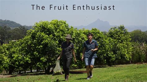 The Delightful Fantasies of Fruit Enthusiasts: Indulge in the Most Pleasurable Experiences