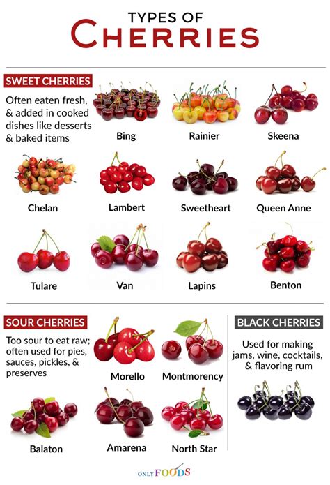 The Different Varieties of Cherries: From Tart to Sweet