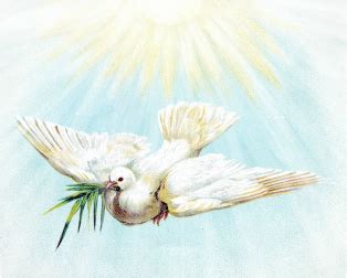 The Dove as a Messenger: Signifying Love and Hope