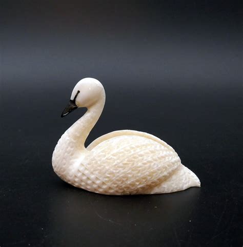 The Elegant Beauty of the Ivory Swan