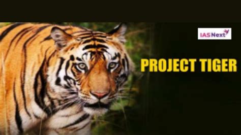 The Elusiveness of Tigers: A Challenge for Researchers