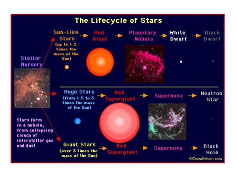 The Emergence of a Star