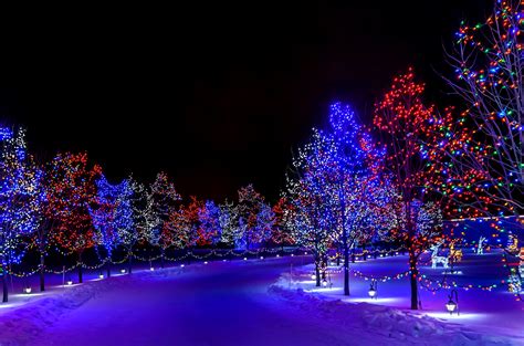 The Enchanting Appeal of Snowy Holiday Illumination