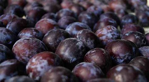 The Enchanting Aroma and Juicy Sweetness of Black Plums