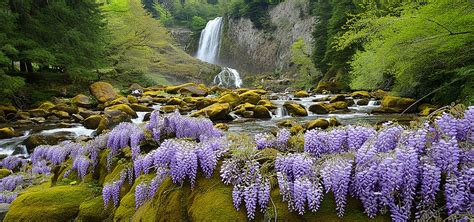 The Enchanting Harmony: Flowing Waterfalls and Whispers of the Wilderness