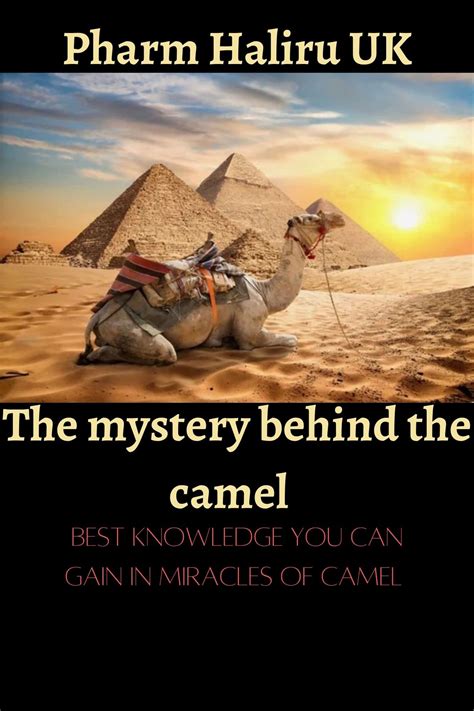 The Enchanting Mysteries of Camel Reveries 