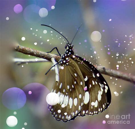 The Enchanting Power of Butterfly Artworks