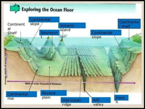 The Enchanting Realm of Shoreline Ridges