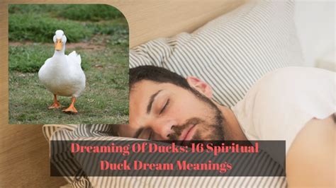 The Enchanting Universe of Ducks and Dreaming