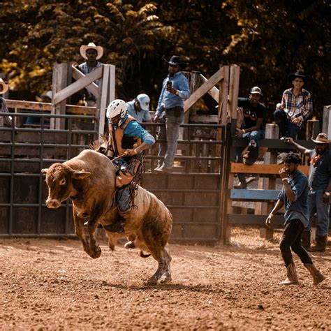 The Enchantment of Bull Riding