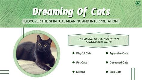 The Enchantment of Dreaming: Deciphering the Significance and Representation of Leaping onto a Feline