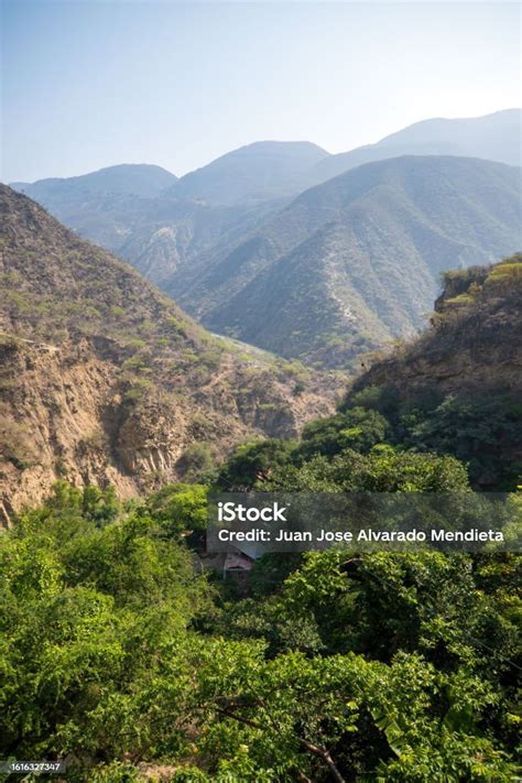 The Enchantment of Expansive Landscapes: Exploring the Fascination with Immense Open Territories