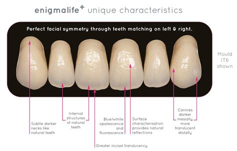 The Enigma Surrounding Infants With Teeth