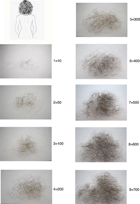 The Enigma of Shedding Bundles of Hair in Oneiric Experiences