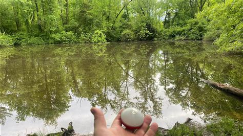 The Enigma of an Empty Pond: Exploring the Mystery