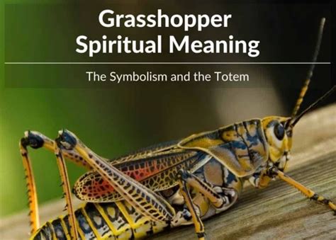 The Enigmatic Grasshopper Dream: Unraveling Its Symbolic Significance