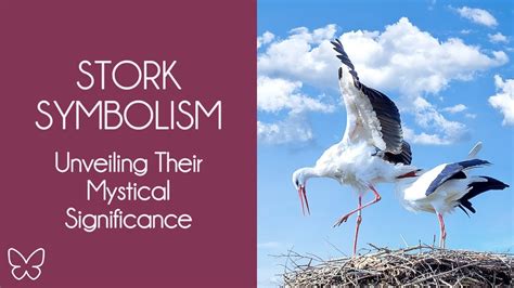 The Enigmatic Past of Storks and their Symbolic Significance