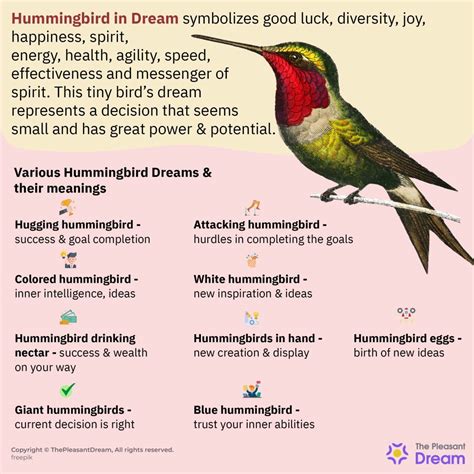 The Enigmatic Presence of Hummingbirds in Dreams