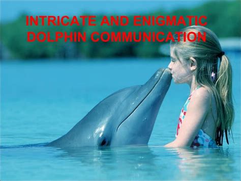 The Enigmatic Realm of Dolphin Communication