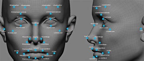 The Essence of Facial Expressions in Visionary Meetings: Comprehending Feelings and Revelations