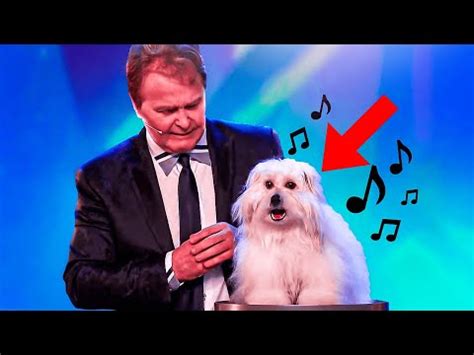 The Extraordinary Talent of Singing Canines