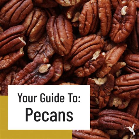 The Fascinating History and Origins of Pecans