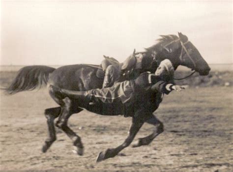 The Fascinating Realm of Equine Combat