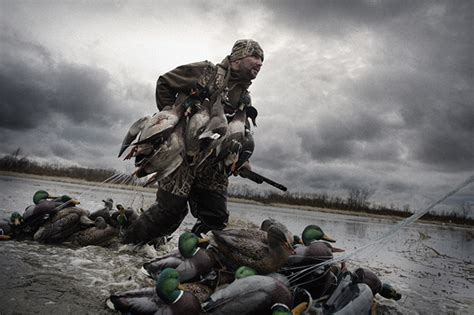 The Fascinating Realm of Pursuing Waterfowl Visions