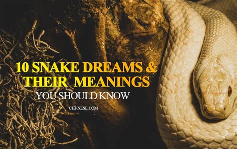 The Fascinating Significance of a Grinning Serpent in Dreams