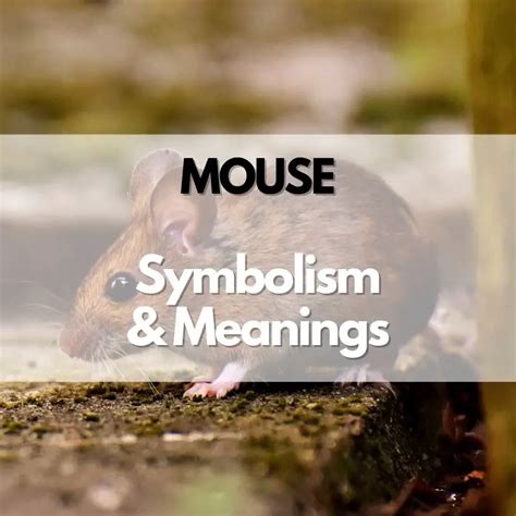 The Fascinating Symbolism of Mice Throughout History