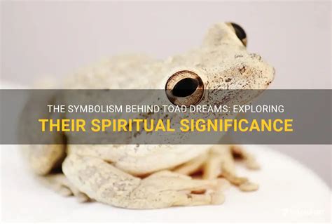 The Fascinating World of Dreaming: Deciphering the Significance and Symbolism of a Toad