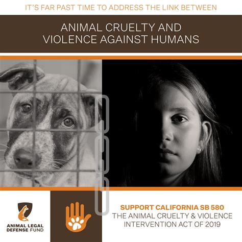 The Fight for Change: Advocacy and Legislative Efforts to Address Animal Cruelty in Reveries