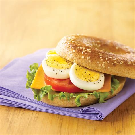 The Flexibility of Egg Sandwiches: From Timeless Classics to Innovative Combinations