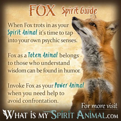 The Fox as a Spiritual Guide and Messenger