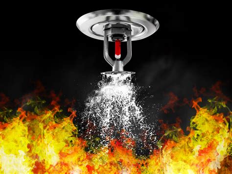 The Function of Sprinklers in Dreams: Protective or Destructive?