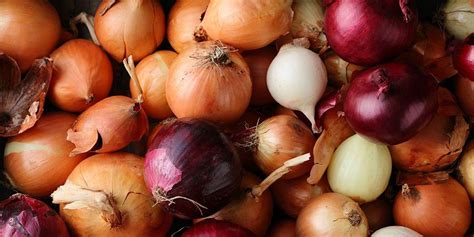 The Global Onion Trade: Unveiling Market Dynamics