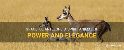 The Graceful Antelope: A Symbol of Elegance in the Animal Kingdom