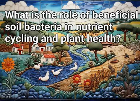 The Hidden Economy: Investigating the Role of Plant Roots in Nutrient Cycling